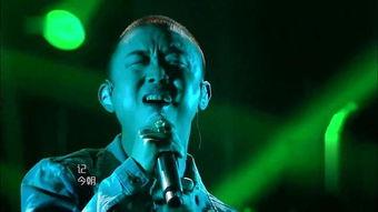 歌手2024娱乐圈吃瓜,娱乐圈风云再起，吃瓜群众狂欢盛宴